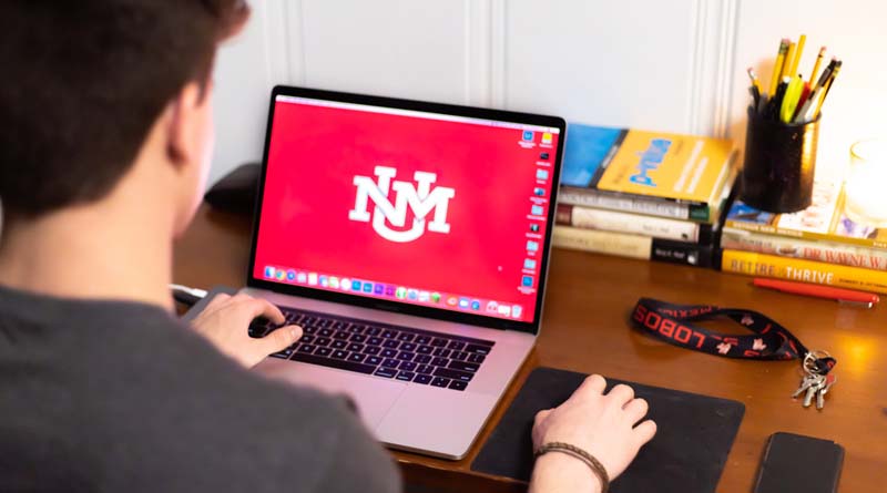 Student sitting at a desk with laptop