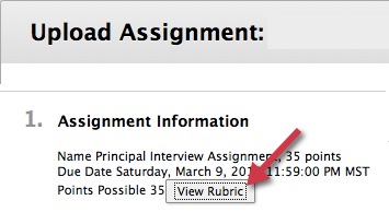 Assignment Rubric button